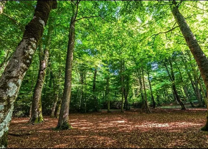 La Moretta * Peschici
