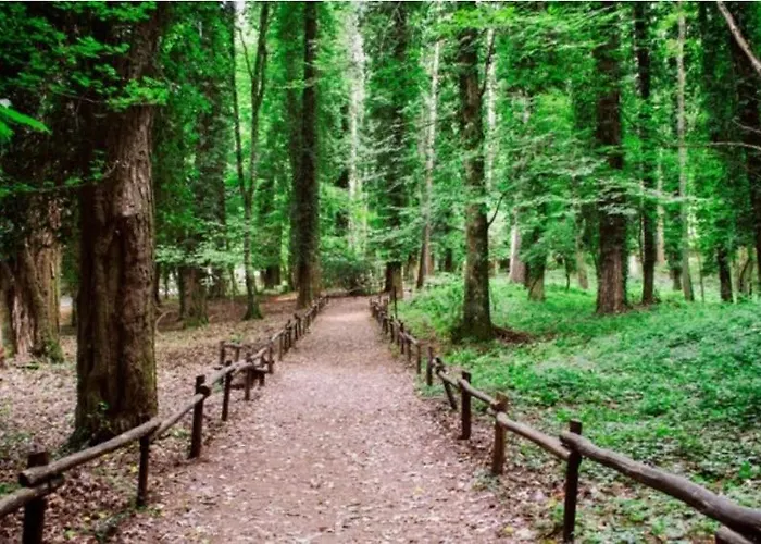 La Moretta Parque de vacaciones *