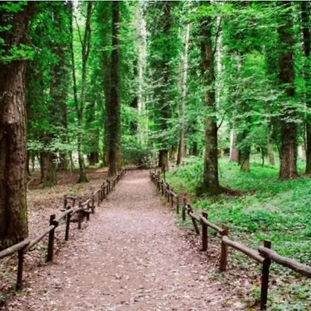 La Moretta Parco vacanze *